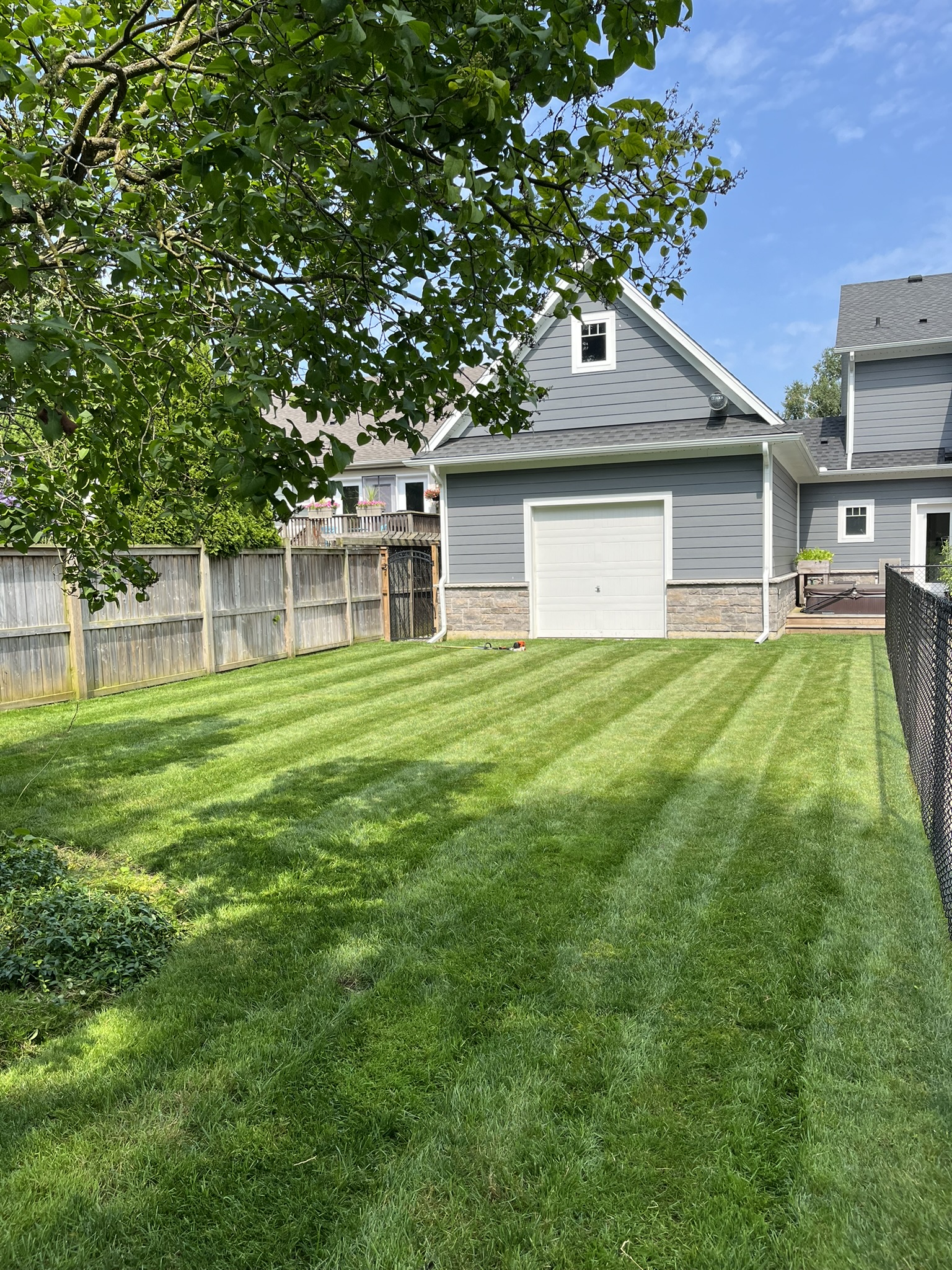 Professional Lawn Maintenance