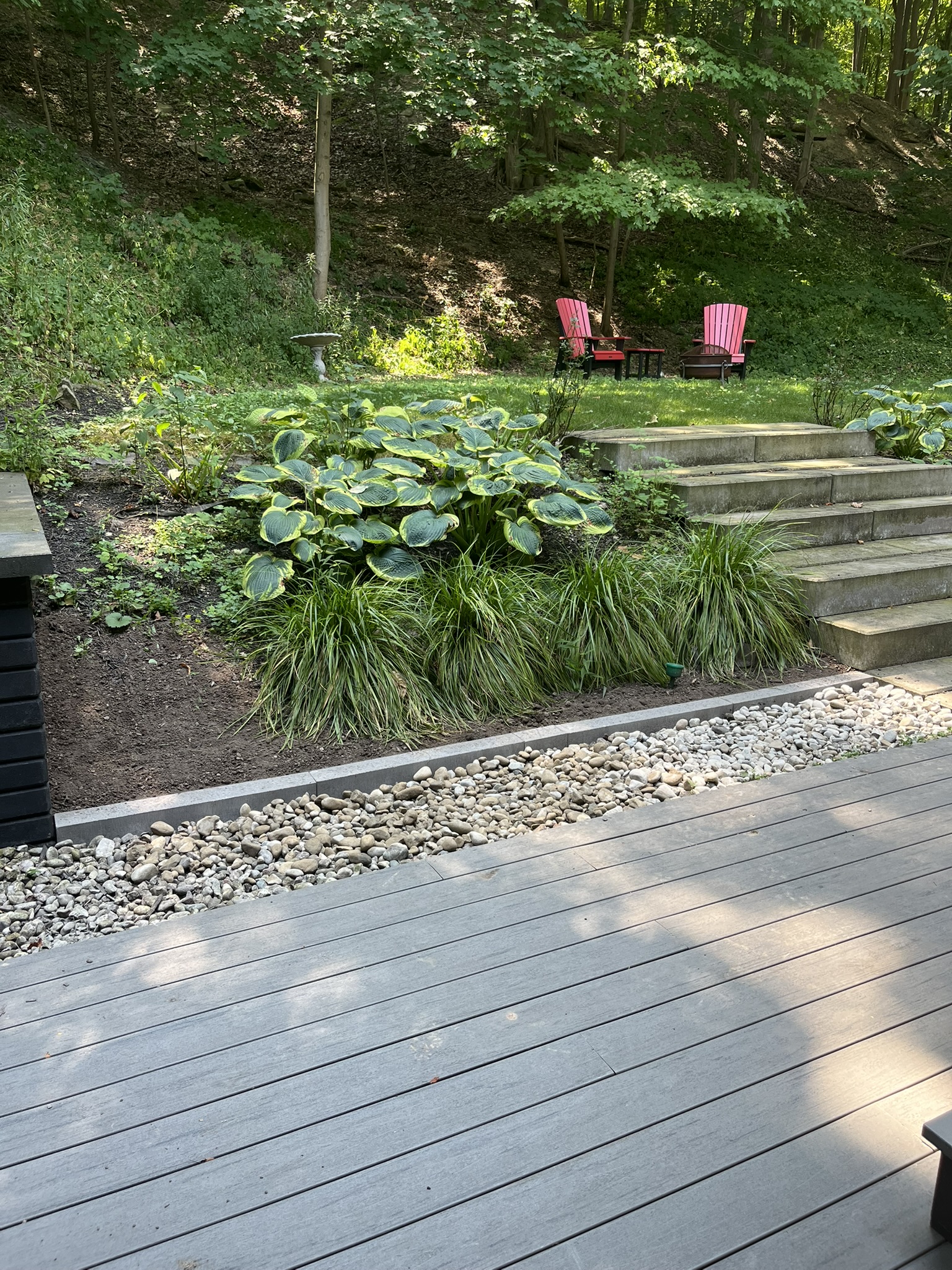 Stepping stones in garden