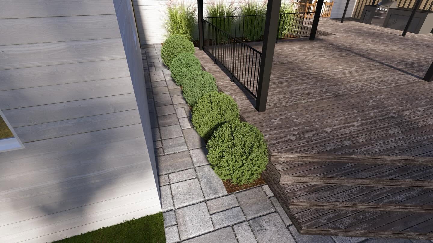 Sculpted boxwood border running alongside the composite deck