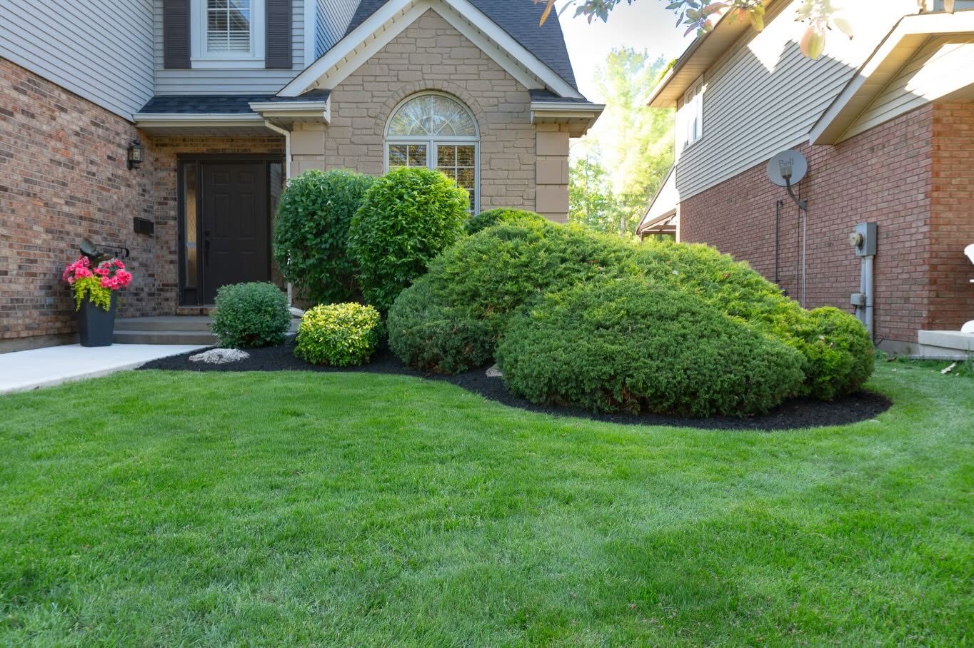 Pristine front lawn framed by sculpted shrubs and fresh mulch beds