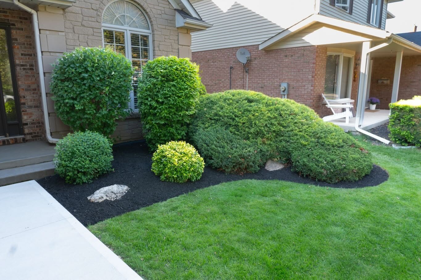Sculpted boxwoods and layered evergreens in crisp mulch beds